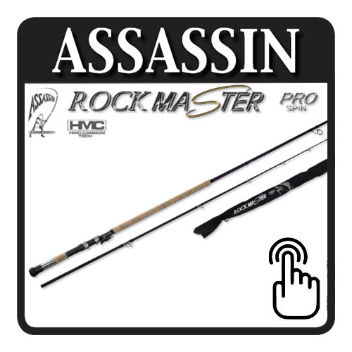 assassin rockmaster